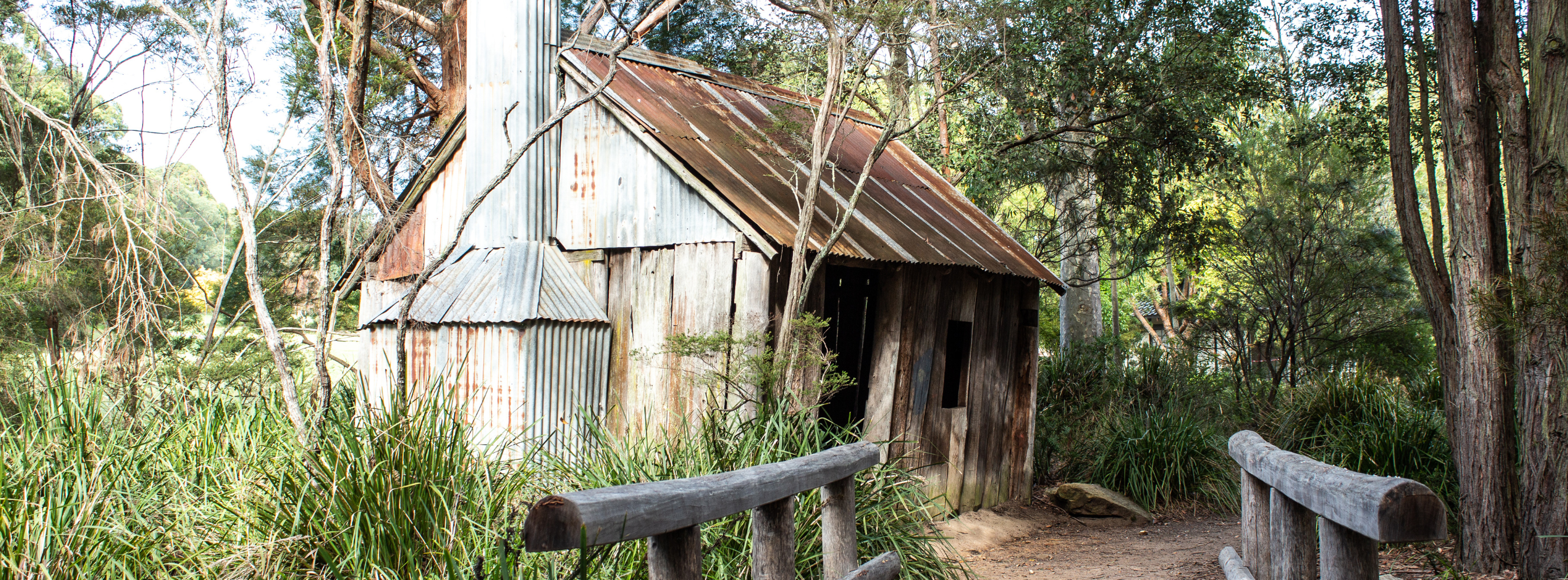 A weathered timber and corrugated-iron hut in the eucalyptus bush